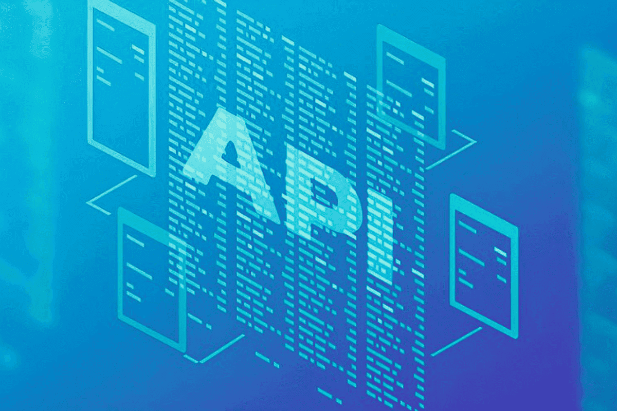 API Penetration Testing