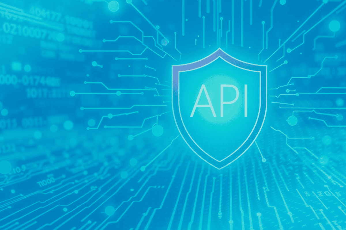API Security Scanning